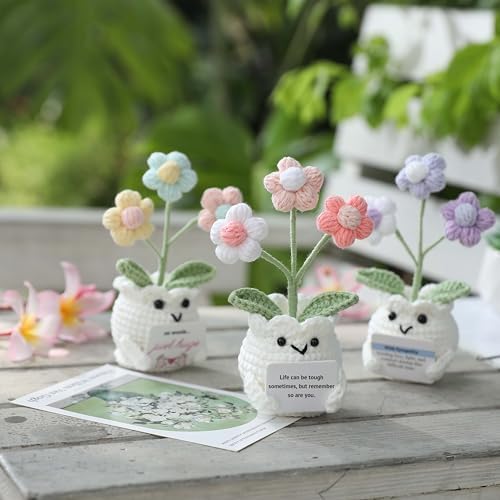 Crochet Sympathy Gifts for Loss of Loved One – Send Sympathy Crochet Puff Flower Potted Plant with Comfort Card – Bereavement, Grief Support Gift Idea for Grandpa Grandma Mom Dad Women Friends - Image 6
