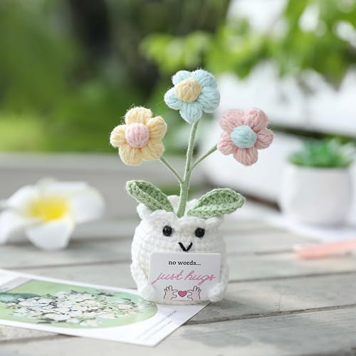 Crochet Sympathy Gifts for Loss of Loved One – No Words, Just Hugs Crochet Puff Flower Plant– Bereavement, Memorial, Get Well Soon, Grief Gift Idea for Loss of Grandpa Grandma Mom Dad - Image 6