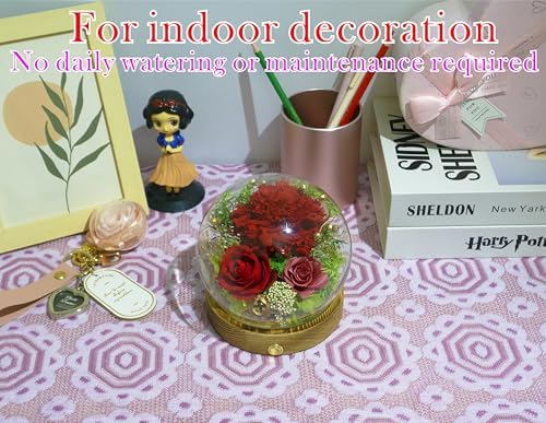 Long-Lasting Real Flowers - Unique Floral Gift For You To Send Love - Image 6