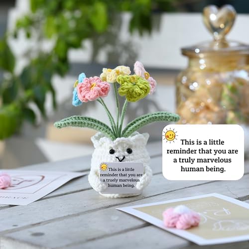 Forget-Me-Not Positive Crochet Flowers Plants Gift Handmade Desk Decor with Card “This is a Little Reminder” Appreciation Inspirational Gift for Coworkers Women Employee Teacher Best Friend Mom - Image 6