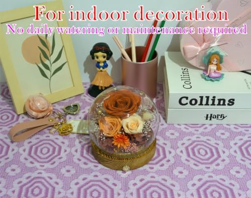 Long-Lasting Real Flowers - Unique Floral Gift For You To Send Love - Image 6