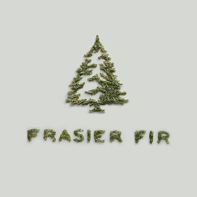 Thymes Frasier Fir Pine Needle Candle – Holiday Candles for Home Scented with Notes of Crisp Siberian Fir, Cedarwood & Sandalwood – Christmas Decor – Christmas Gifts for Women & Men (2 oz)