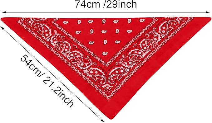 Blulu 6 Pcs Neon Color Cowboy Bandanas for Men Women Assorted Paisley Pattern Handkerchiefs 22 x 22 Inch Kids Headwrap Scarfs