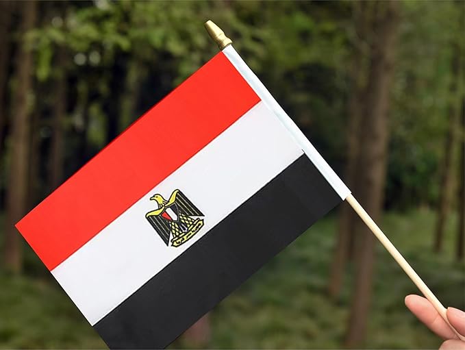 25Pack Small Egypt Flag Handheld Mini Egyptian Flags on Stick 5x8 Inch