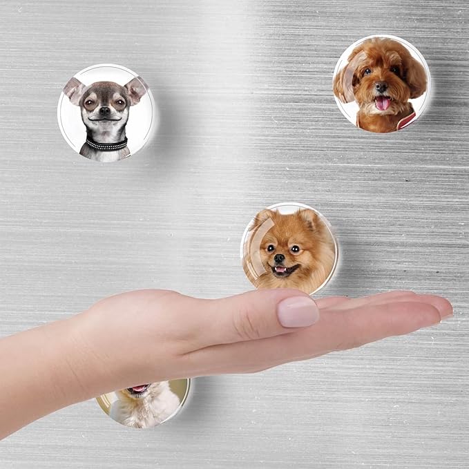 12Pcs Glass Refrigerator Magnets - Fridge Magnets Decoration for Classroom, Locker, Office Whiteboards, Cabinet, Dishwasher and Magnetic Surfaces (Cute Dog Smile)