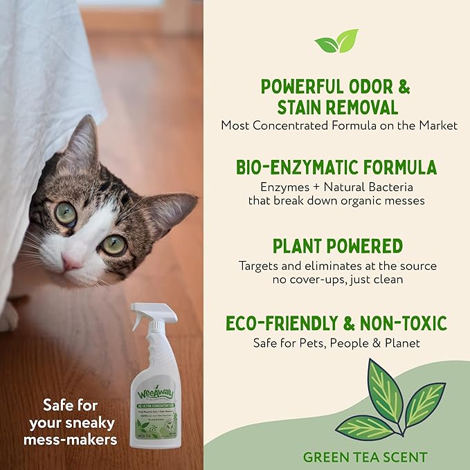 Wee Away X2 Ultra-Concentrated Stain & Strong Odor Eliminator, Enzyme Cleaner, Pet Odor Eliminator for Home - Cat & Kitten Urine Destroyer - Carpet Cleaner Spray, Green Tea, 16 fl oz