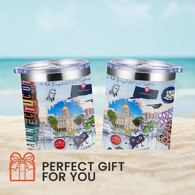 12oz Coffee Mug Connecticut State Insulated Coffee Cups, United States Map Travel Mug Landmark, Birthday Gifts Cute Mugs with Lid and Straw Mothers Day Gifts
