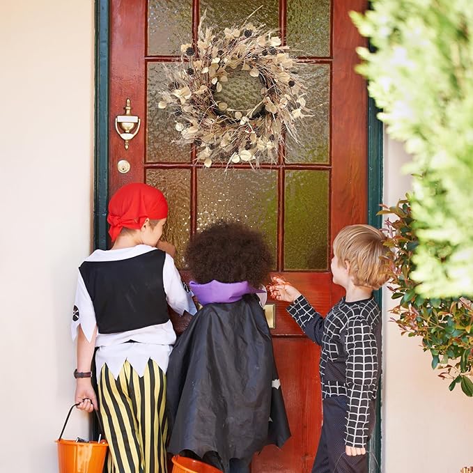 Fall Wreath for Front Door 24 Inch Fall Door Wreaths, Large Autumn Wreath with Berry Pinecones and Raffia, Grapevine Decor for Door Wall Window Home and Halloween Christmas Thanksgiving Decoration