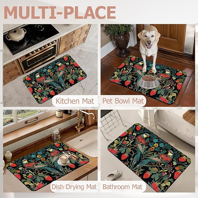 Bath Mat,Strawberry Bird Bathroom Rugs,Quick-Drying Non-Slip Rubber Bath Mats Flower Leaf Absorbent Diatomaceous Earth Mat for Bathroom Home Decor 17"x29.5"