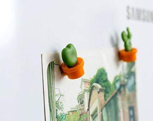 12PCS Refrigerator Magnet Kitchen Magnet Office Magnet whiteboard and Dry Cleaning Board, Lovely and Colorful Potted Design (Cactus)