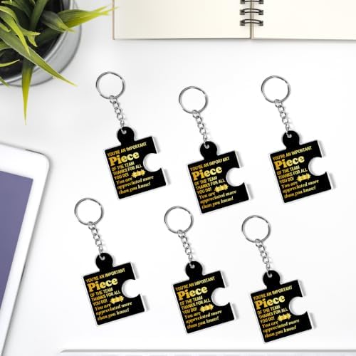 Team Appreciation Gifts Bulk for Coworkers Employee Staff Keychains - Image 6