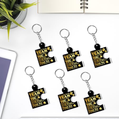 Team Appreciation Gifts Bulk for Coworkers Employee Staff Keychains - Image 6