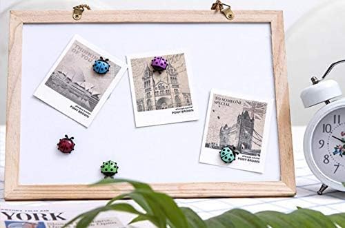 Ladybug Refrigerator Magnets Kitchen Magnets Office Magnets for Whiteboard, Dry Erase Board, Cute and Colorful Insect Design (12pcs per Set)