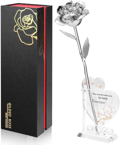 Anthonic Gold Dipped Infinity Rose Last Forever Flower Decor, Birthday Gift for Women in Her Birthday Valentines Day Mothers Day, Resin Preserved Rose | Anniversary Present for Mom (Silver) by Anthonic