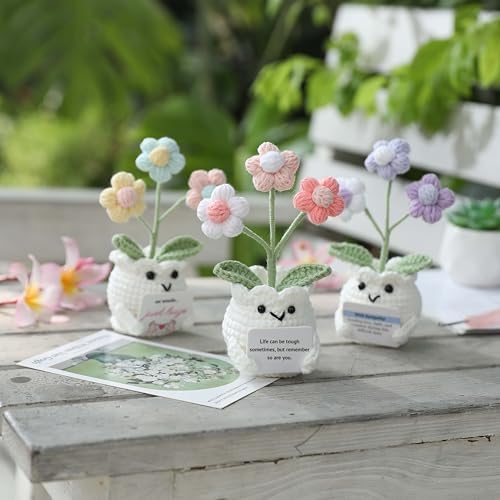 Crochet Sympathy Gifts for Loss of Loved One – No Words, Just Hugs Crochet Puff Flower Plant– Bereavement, Memorial, Get Well Soon, Grief Gift Idea for Loss of Grandpa Grandma Mom Dad - Image 4