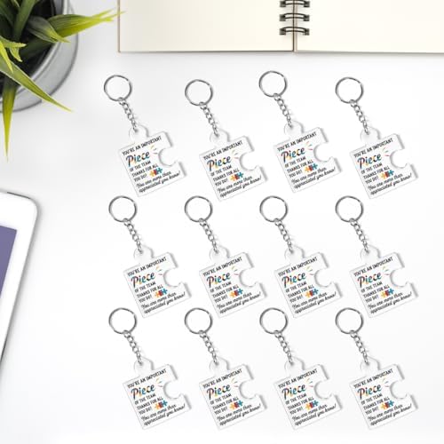 Team Appreciation Gifts Bulk for Coworkers Employee Staff Keychains - Image 6
