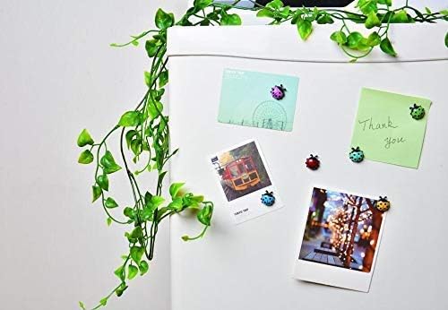 Ladybug Refrigerator Magnets Kitchen Magnets Office Magnets for Whiteboard, Dry Erase Board, Cute and Colorful Insect Design (12pcs per Set)