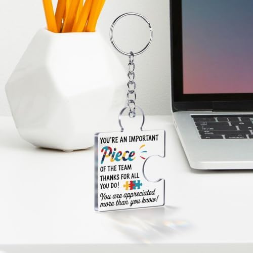 Team Appreciation Gifts Bulk for Coworkers Employee Staff Keychains - Image 3