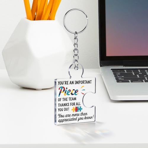 Team Appreciation Gifts Bulk for Coworkers Employee Staff Keychains - Image 3