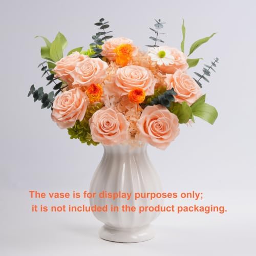 Lovenfold Flowers for Delivery Birthday Flowers Gift for Her,Preserved Flowers Bouquet 9 Roses Bouquet,Birthday Gifts for Women Mom Grandma(9 Champagne Roses) - Image 4