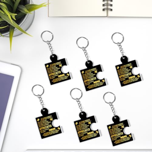 Team Appreciation Gifts Bulk for Coworkers Employee Staff Keychains - Image 6
