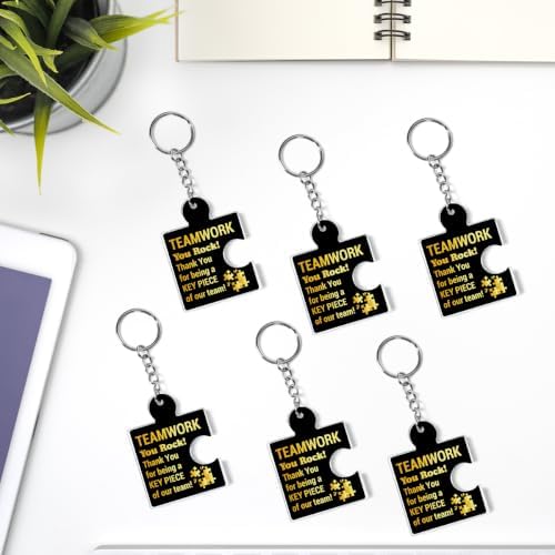 Team Appreciation Gifts Bulk for Coworkers Employee Staff Keychains - Image 6