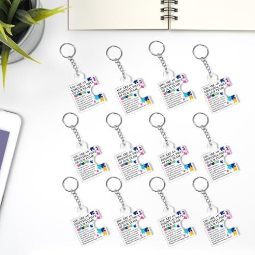 Team Appreciation Gifts Bulk for Coworkers Employee Staff Keychains - Image 6
