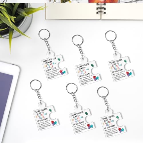 Team Appreciation Gifts Bulk for Coworkers Employee Staff Keychains - Image 6