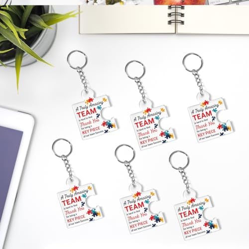 Team Appreciation Gifts Bulk for Coworkers Employee Staff Keychains - Image 6
