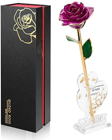 Anthonic Gold Dipped Infinity Rose Last Forever Flower Decor, Birthday Gift for Women in Her Birthday Valentines Day Mothers Day, Resin Preserved Rose | Anniversary Present for Mom (Purple) by Anthonic