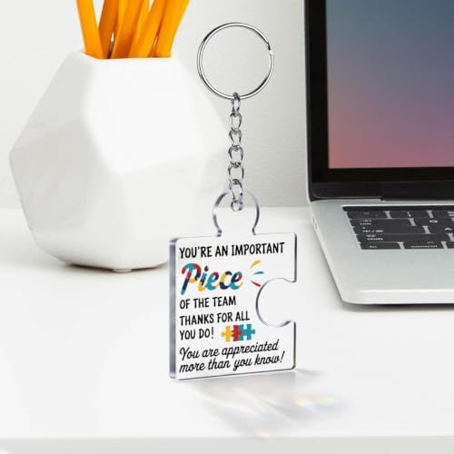 Team Appreciation Gifts Bulk for Coworkers Employee Staff Keychains - Image 3