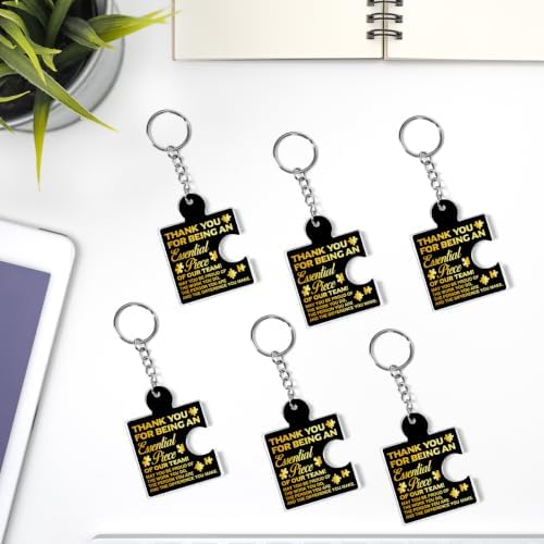 Team Appreciation Gifts Bulk for Coworkers Employee Staff Keychains - Image 6