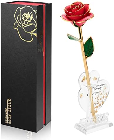 Anthonic Gold Dipped Infinity Rose Last Forever Flower Decor, Birthday Gift for Women in Her Birthday Valentines Day Mothers Day, Resin Preserved Rose | Anniversary Present for Mom (Pink) by Anthonic