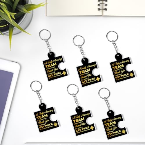 Team Appreciation Gifts Bulk for Coworkers Employee Staff Keychains - Image 6