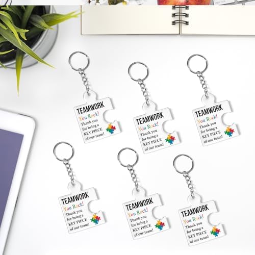 Team Appreciation Gifts Bulk for Coworkers Employee Staff Keychains - Image 6