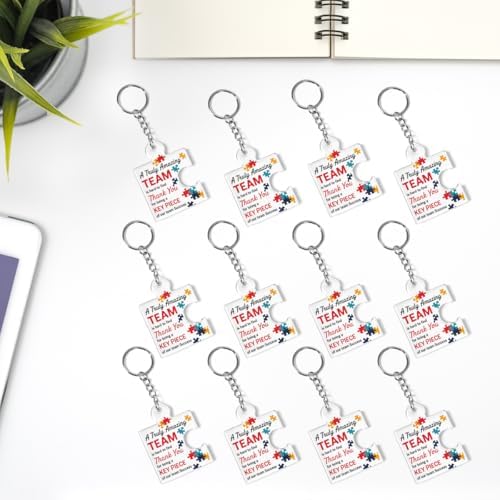 Team Appreciation Gifts Bulk for Coworkers Employee Staff Keychains - Image 6