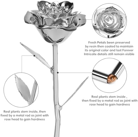 Anthonic Gold Dipped Infinity Rose Last Forever Flower Decor, Birthday Gift for Women in Her Birthday Valentines Day Mothers Day, Resin Preserved Rose | Anniversary Present for Mom (Silver) - Image 2