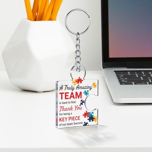 Team Appreciation Gifts Bulk for Coworkers Employee Staff Keychains - Image 3