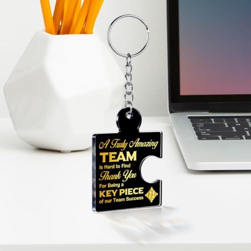 Team Appreciation Gifts Bulk for Coworkers Employee Staff Keychains - Image 3
