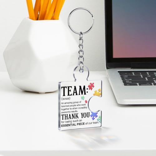 Team Appreciation Gifts Bulk for Coworkers Employee Staff Keychains - Image 3