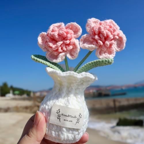 Crochet Paris Polyphylla Flower Pot Handmade Knitted Desk Decor Pink Potted Plant for Home Office - Image 3