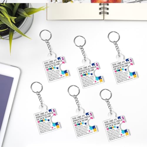 Team Appreciation Gifts Bulk for Coworkers Employee Staff Keychains - Image 6