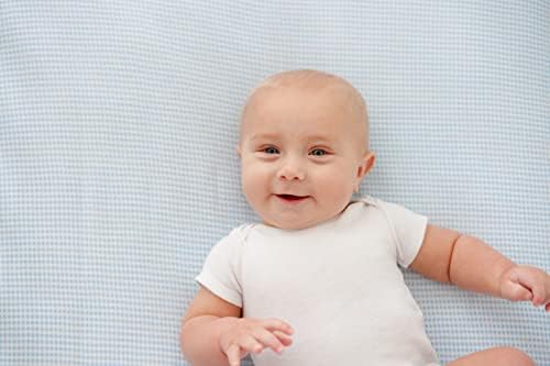 SheetWorld Fitted 100% Cotton Jersey Moses Basket Sheet 13 x 27, Blue Gingham, Made in USA - Image 5
