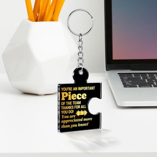 Team Appreciation Gifts Bulk for Coworkers Employee Staff Keychains - Image 3
