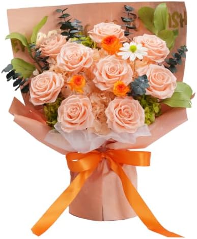 Lovenfold Flowers for Delivery Birthday Flowers Gift for Her,Preserved Flowers Bouquet 9 Roses Bouquet,Birthday Gifts for Women Mom Grandma(9 Champagne Roses) by lovenfoldrose