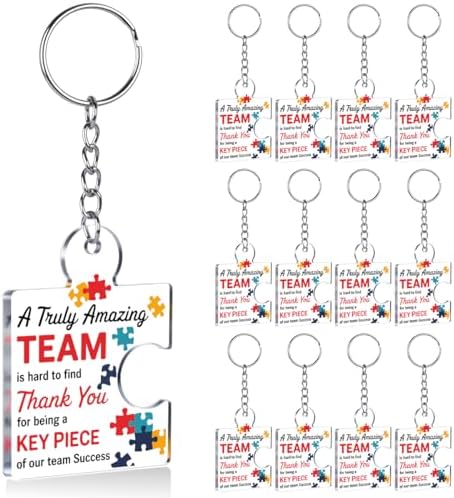 Team Appreciation Gifts Bulk for Coworkers Employee Staff Keychains by Unknown