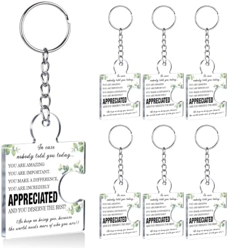 Team Appreciation Gifts Bulk for Coworkers Employee Staff Keychains by Unknown