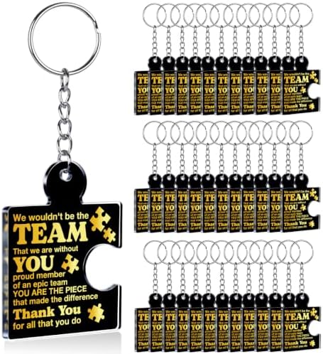 Team Appreciation Gifts Bulk for Coworkers Employee Staff Keychains by Unknown