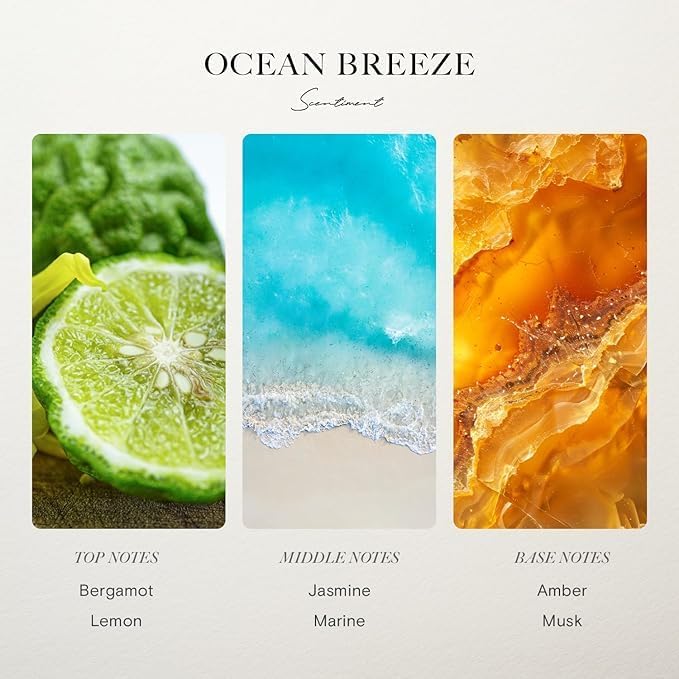 Scentiment Diffuser Oil - Ocean Breeze | Inspired by Five Star Hotels' Lobby Scent | Luxurious Scent with Notes of Bergamot, Lemon, Jasmine with Marine & Amber (20ml)