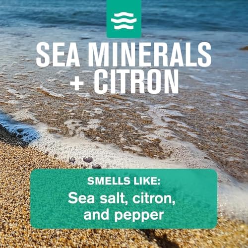 Every Man Jack Bath and Body Shower Gift Set for Men, Sea Minerals Citron - Image 4